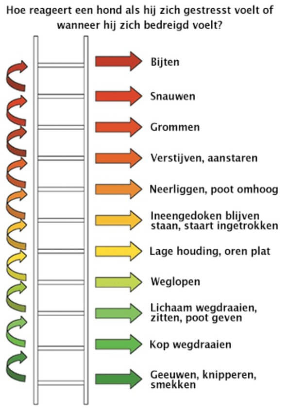 stressladder