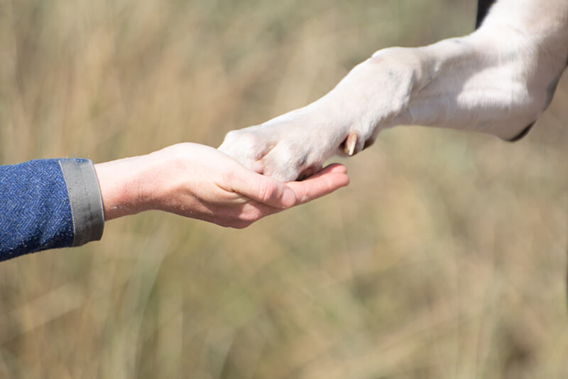 verbinding en contact